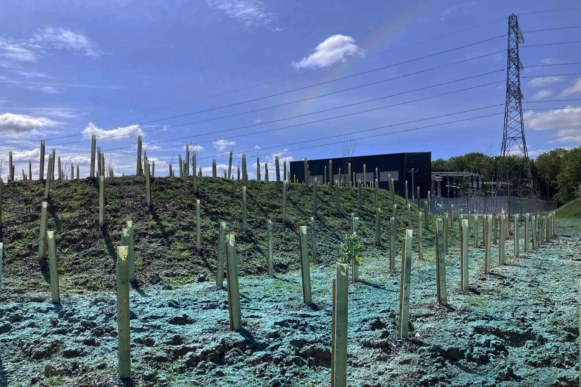 Euroforest Timber Marketing Stacked Logs