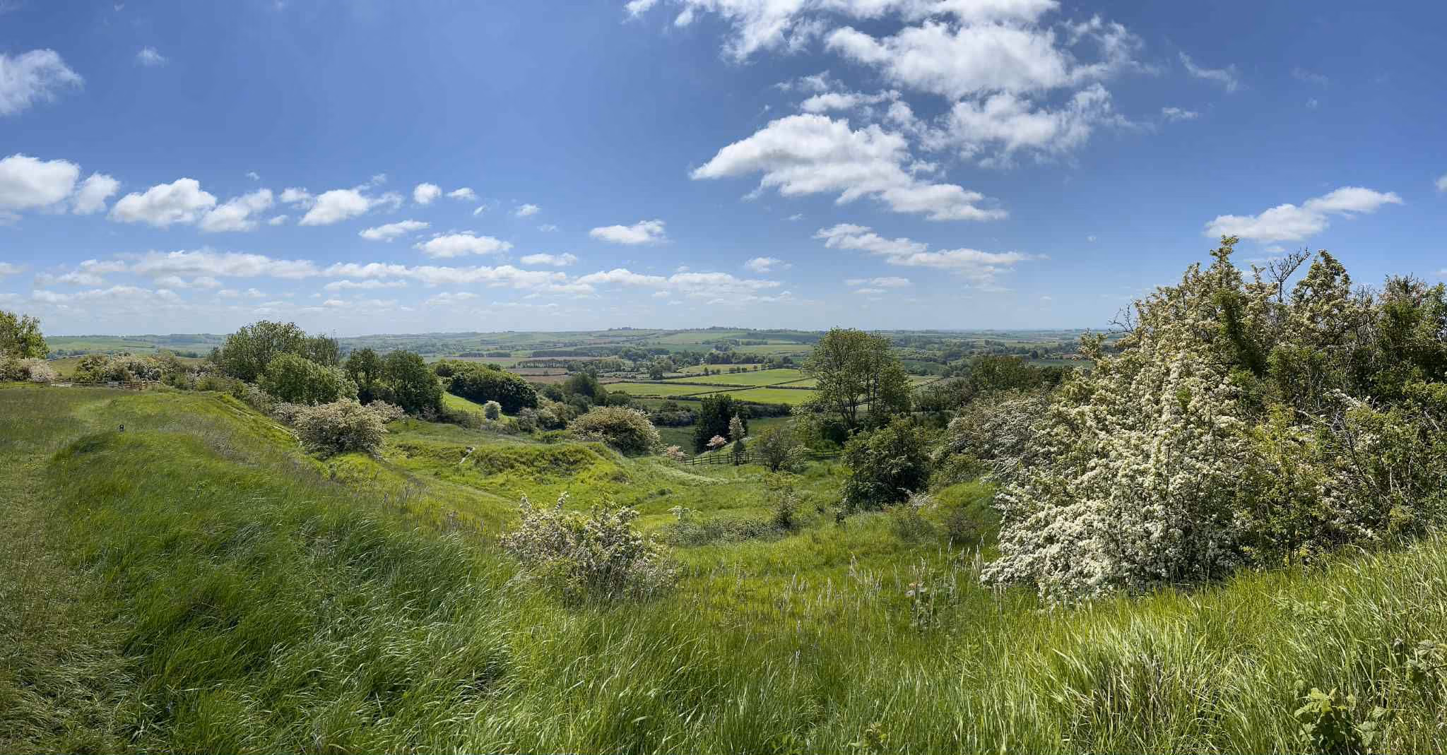 View across a mix of forestation and fields