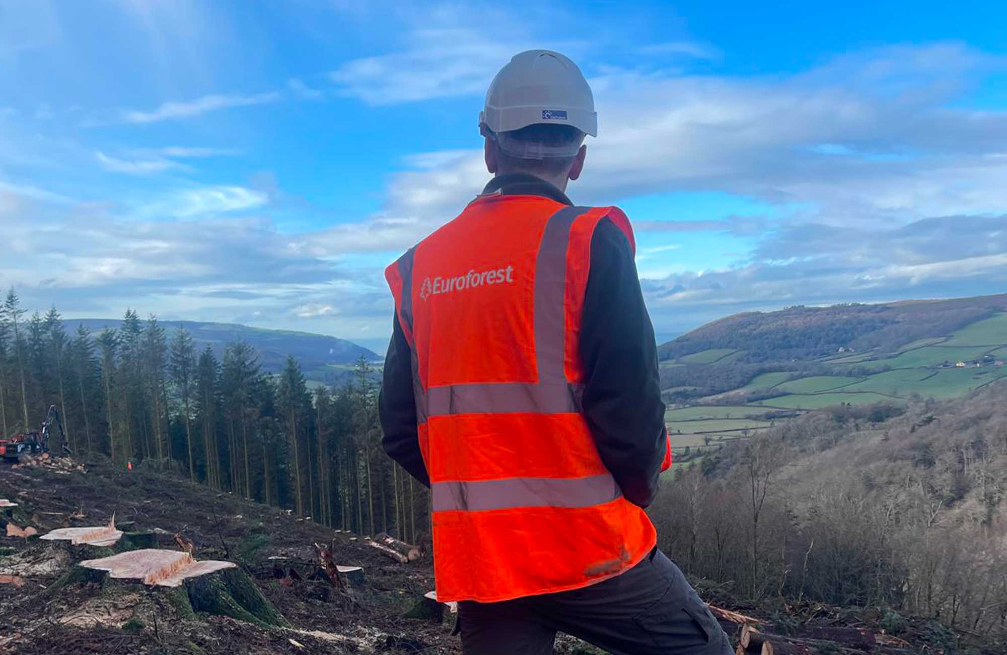 Forest Worker planting a tree