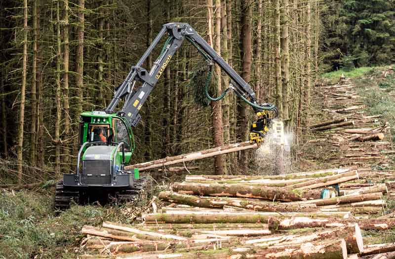 Euroforest Clearfell plant equipment in action
