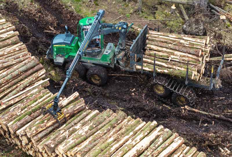 Removing felled trees from the forest