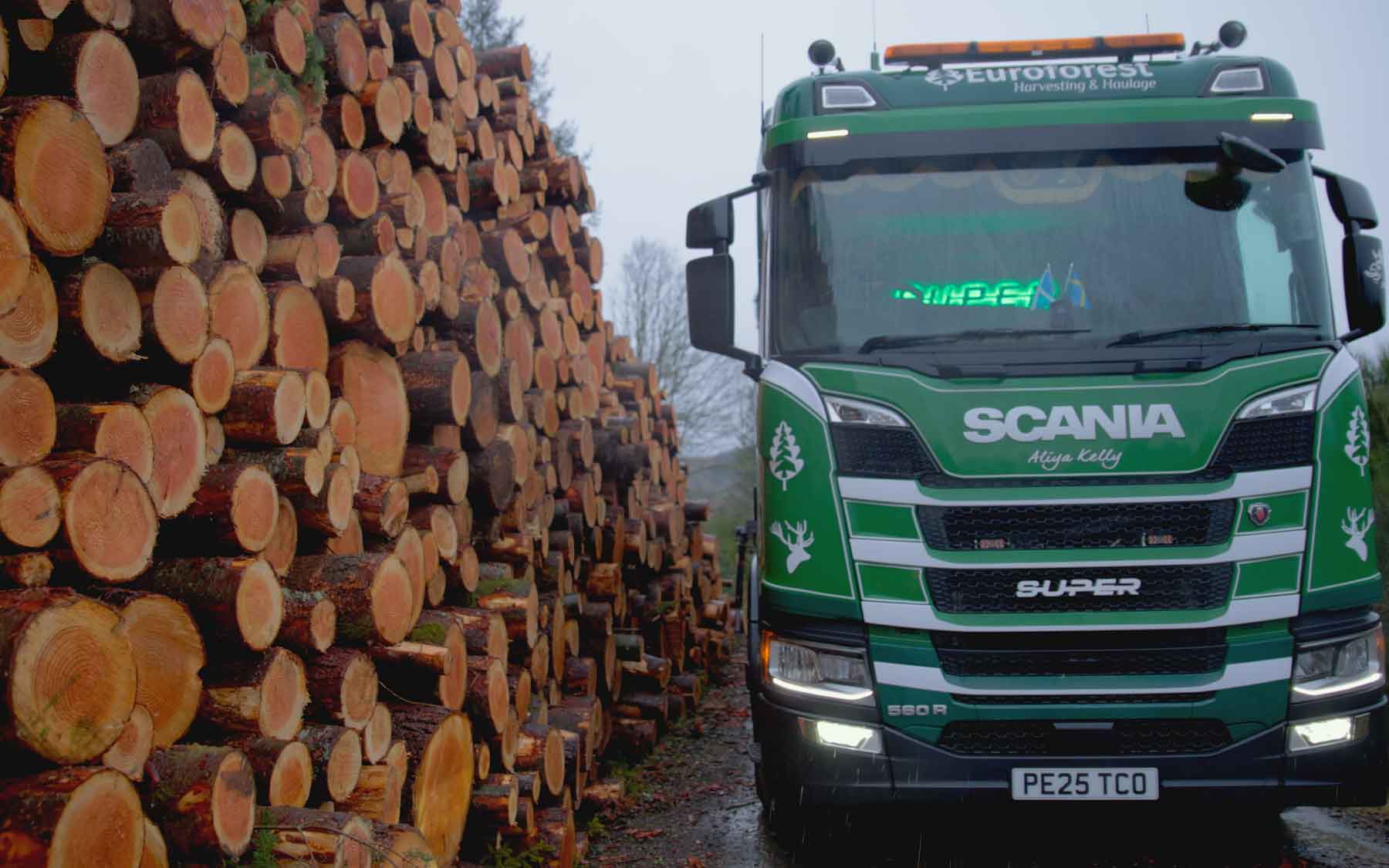 Euroforest Lorry standing next to harvested logs