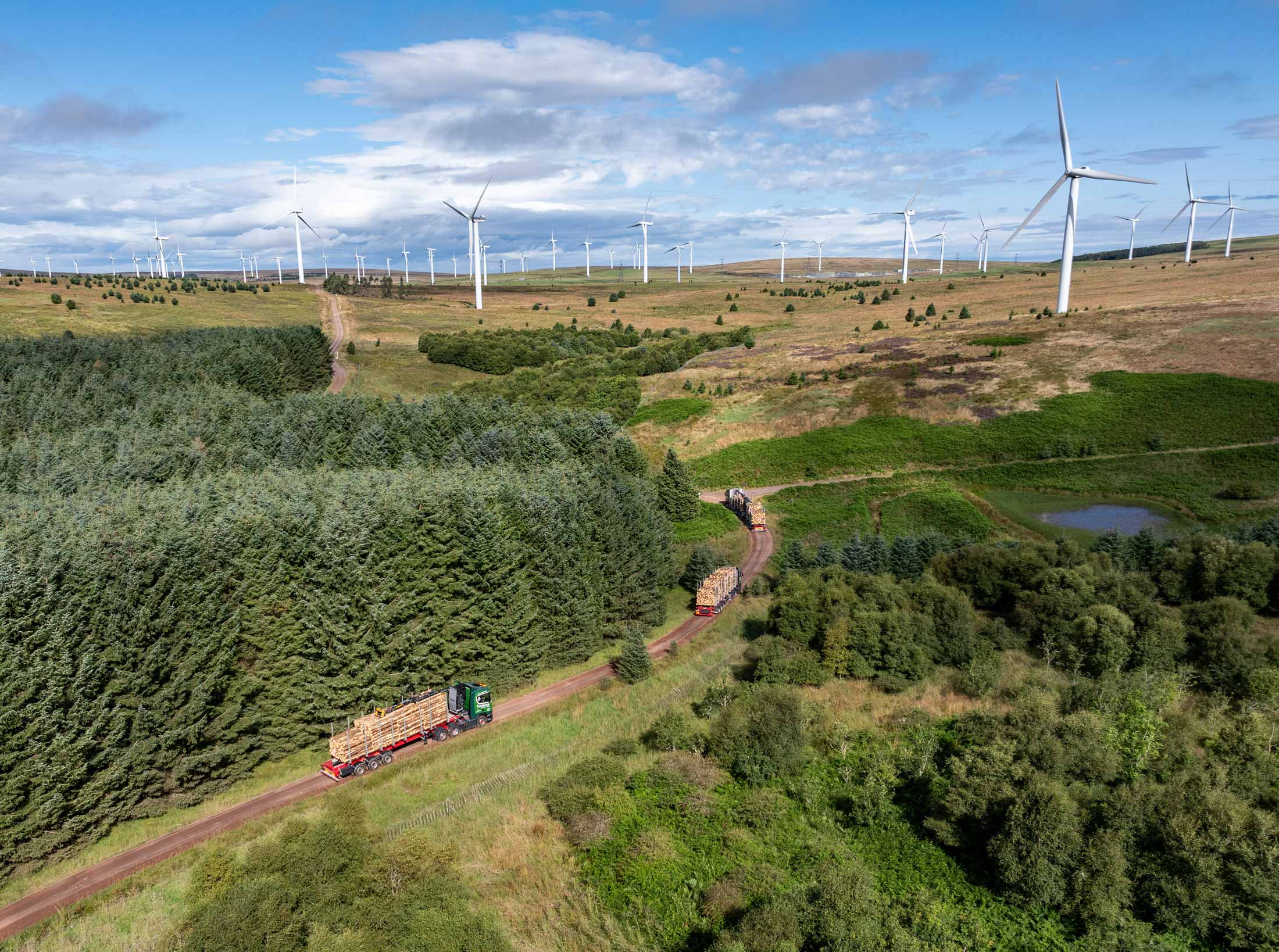 Panoramic view of forest, wind farm and timber haulage