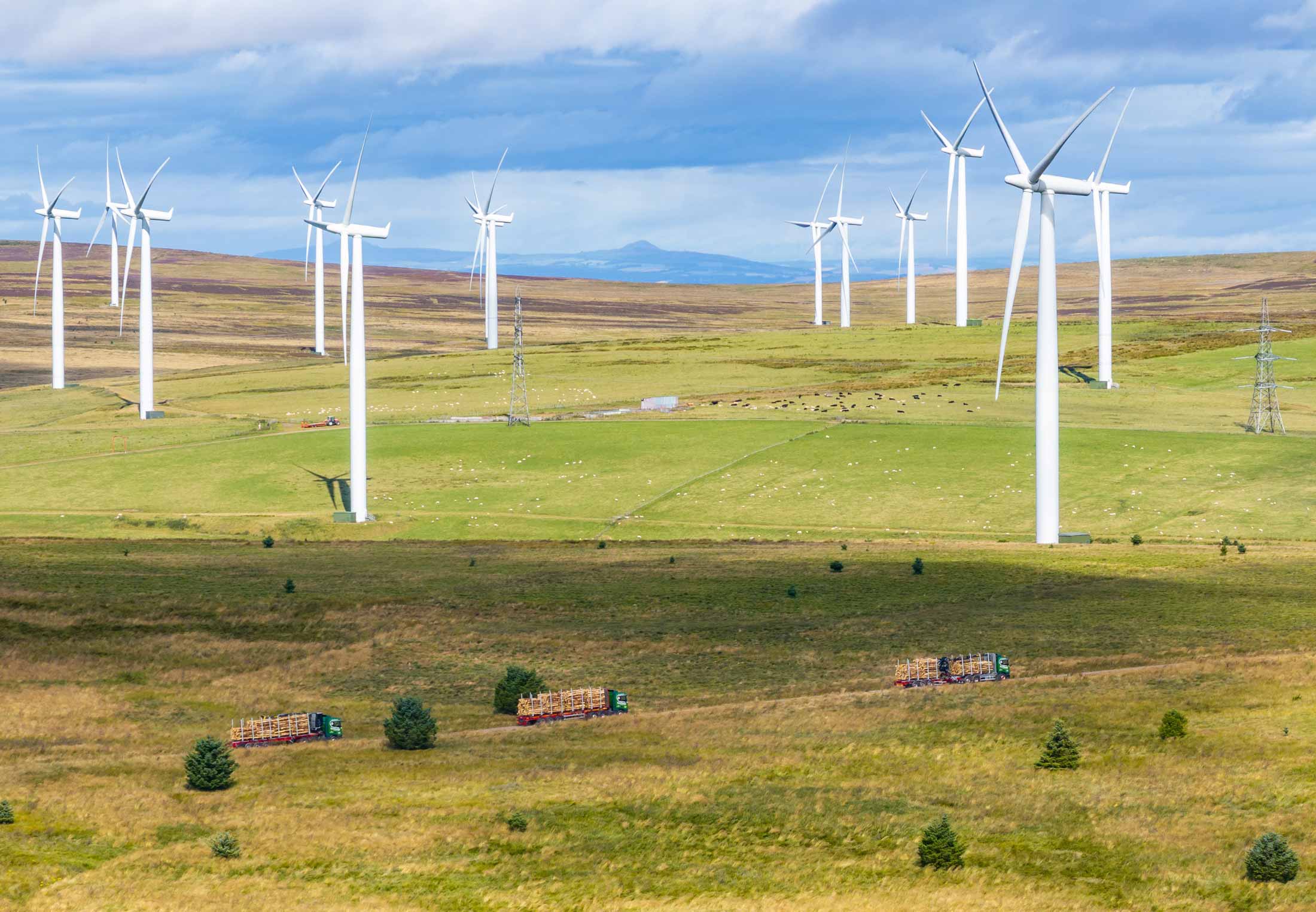 Panoramic View of a wind farm