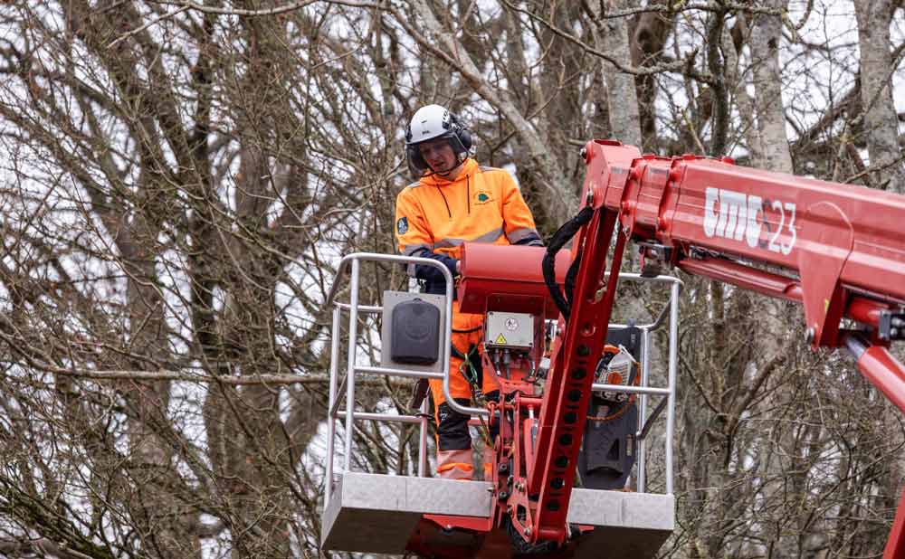Euroforest operative making a tree safe on a cherry picker