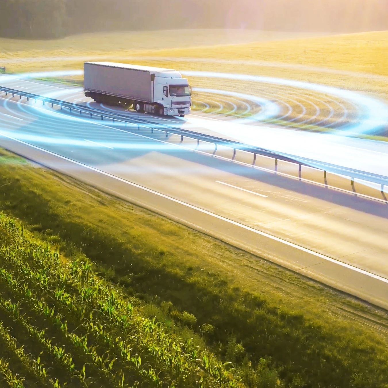 Learn more about audit, insights & reporting