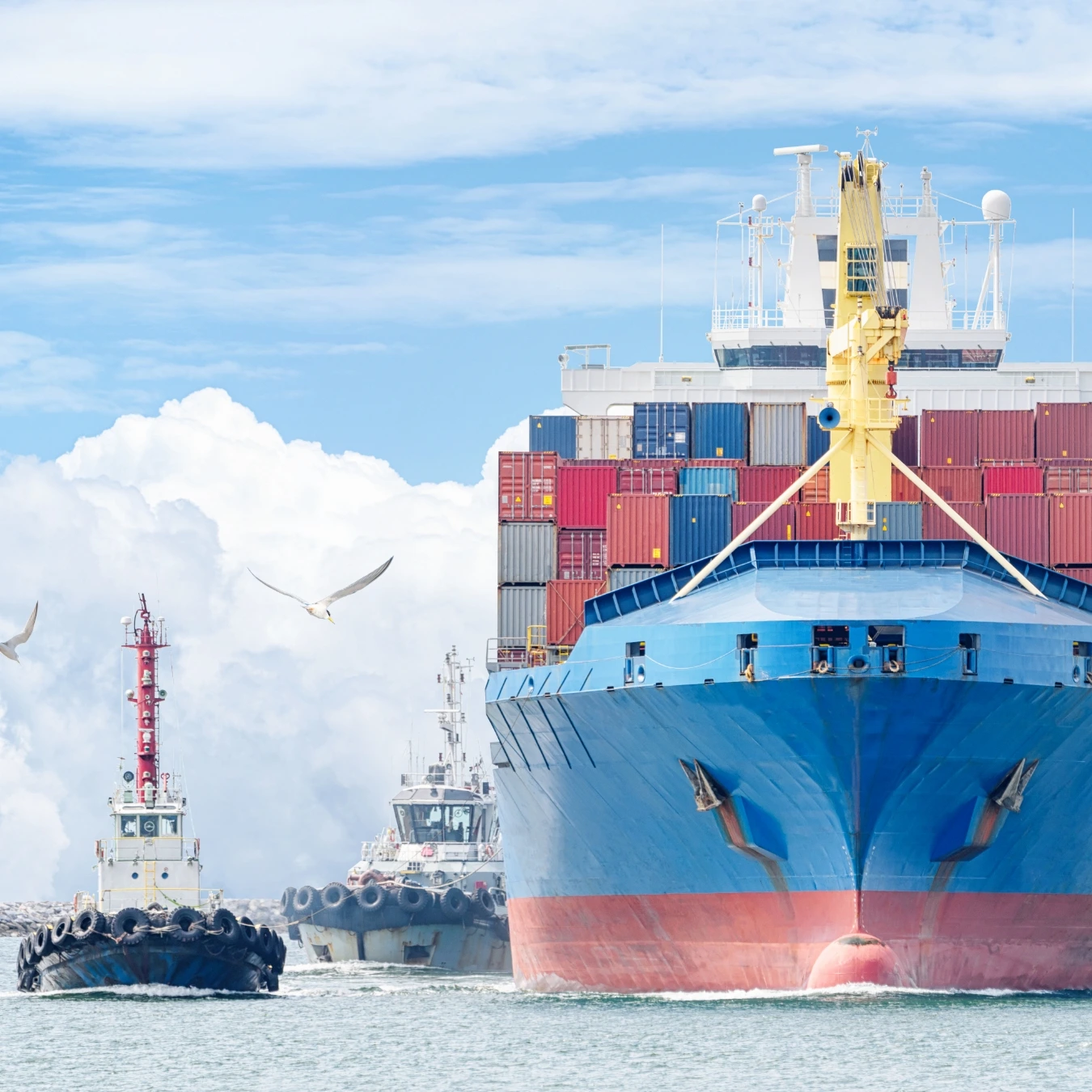 Learn more about audit, insights & reporting