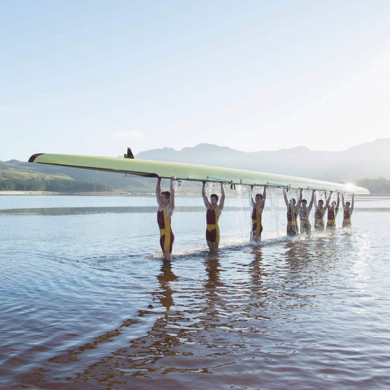 Learn more about audit, insights & reporting