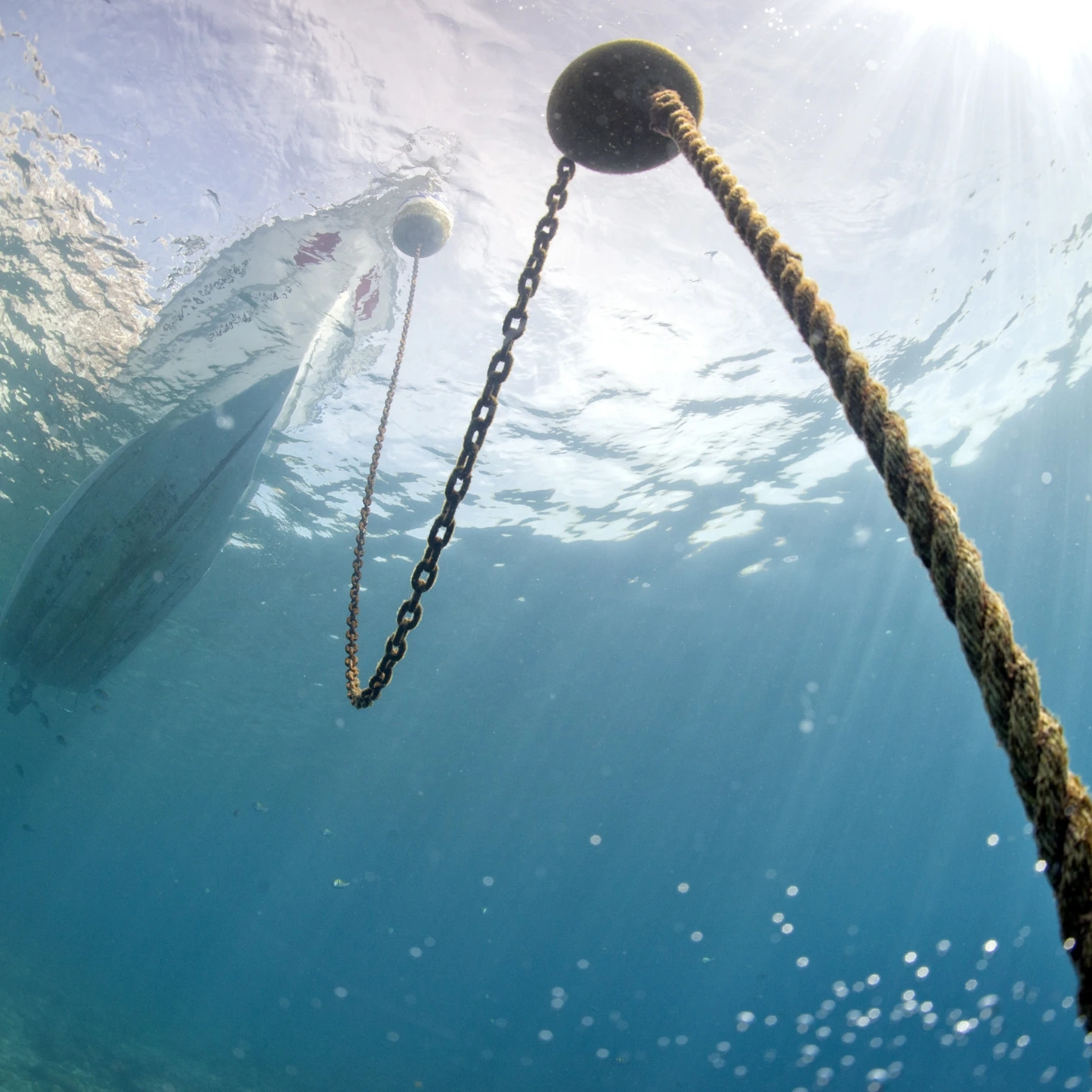 Learn more about audit, insights & reporting