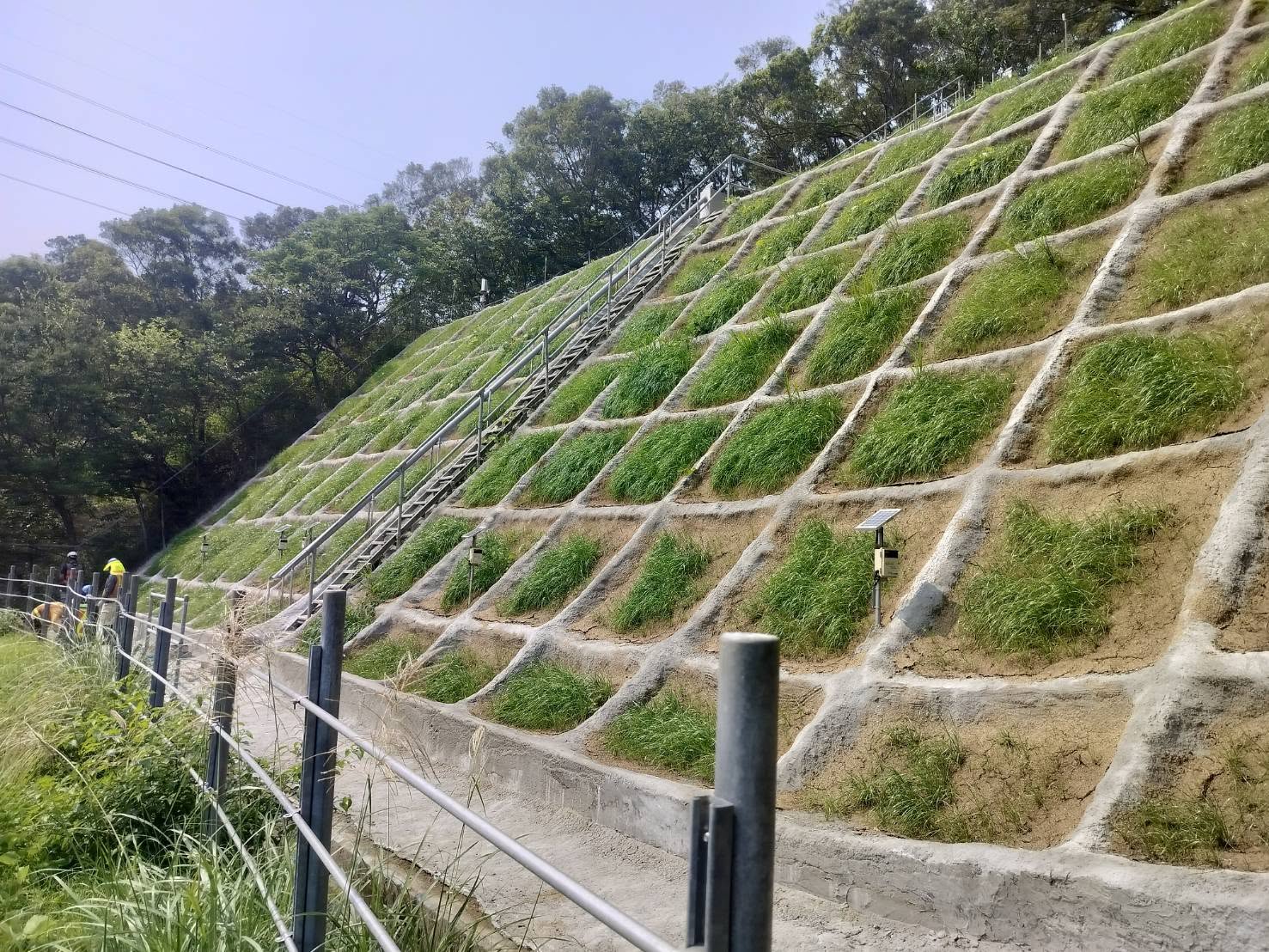 高鐵邊坡改善工程完工後的格梁植生邊坡