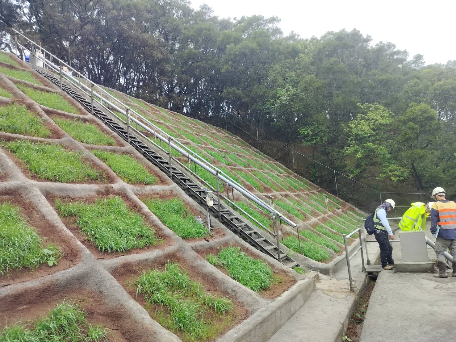高鐵邊坡改善工程完工後植生邊坡與現場查驗