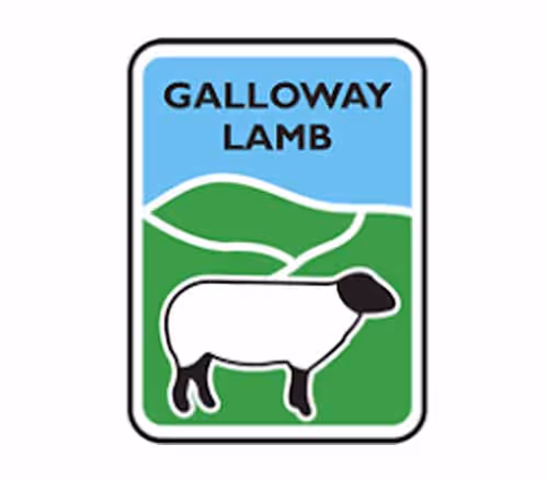 Galloway-Lamb-Farm-Stock-Ltd