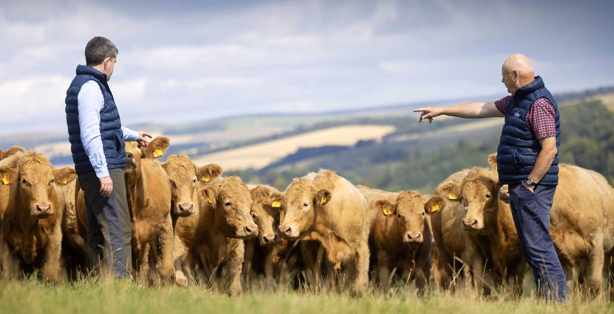 Our-History-Farm-Stock-Scotland