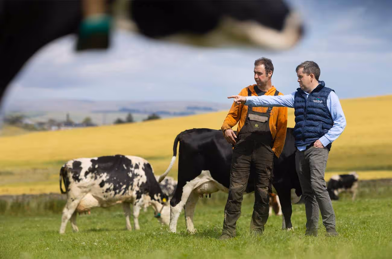 Farm Stock-Scotland growing-with-our-members