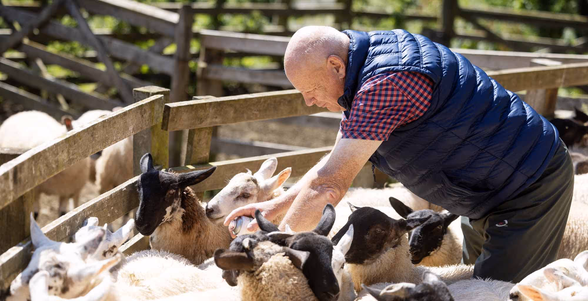 Primestock-Farm-Stock-Scotland-Limited