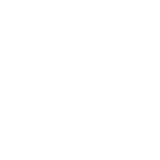 White stylized product logo