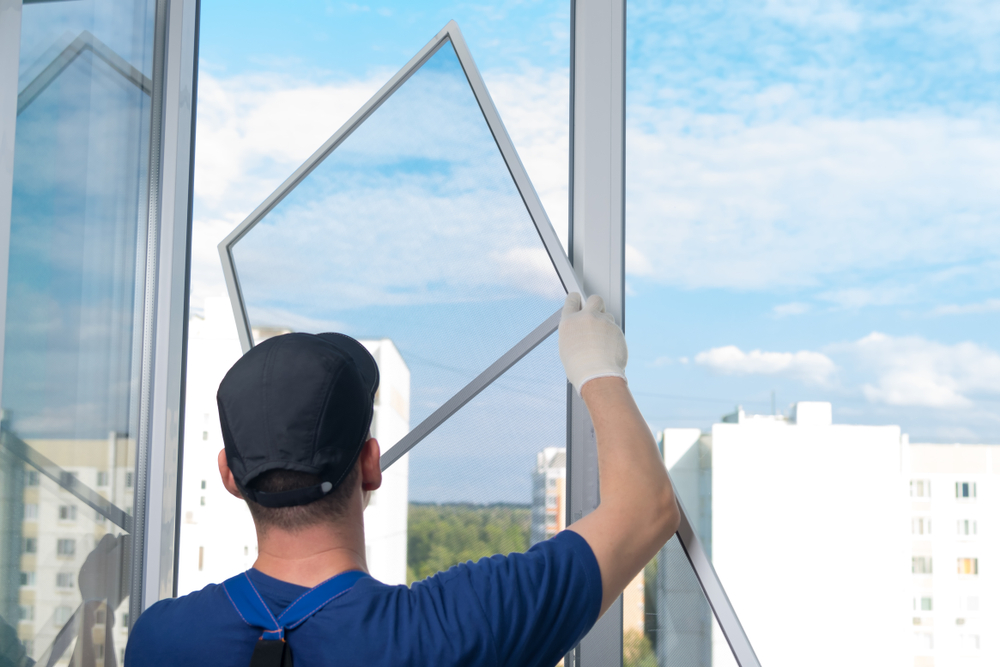 window replacement