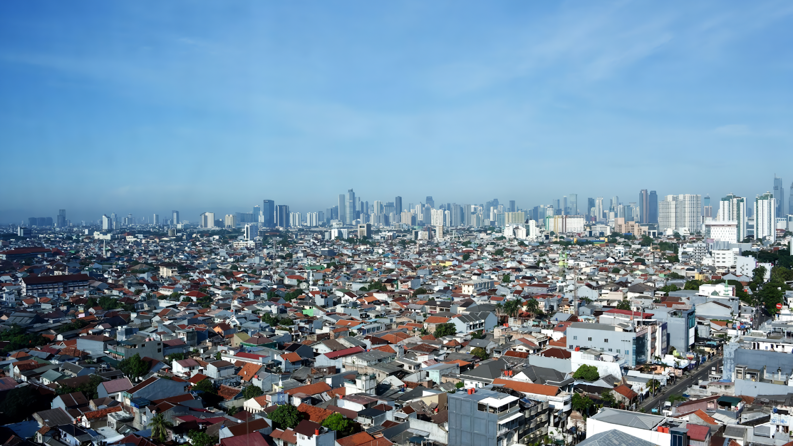 Lease Expiration Insight Rentana