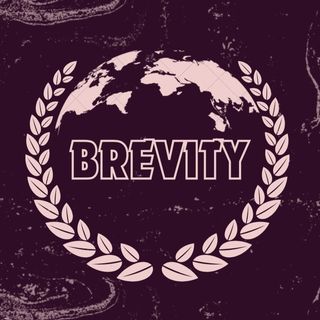 Brevity MUN 2024