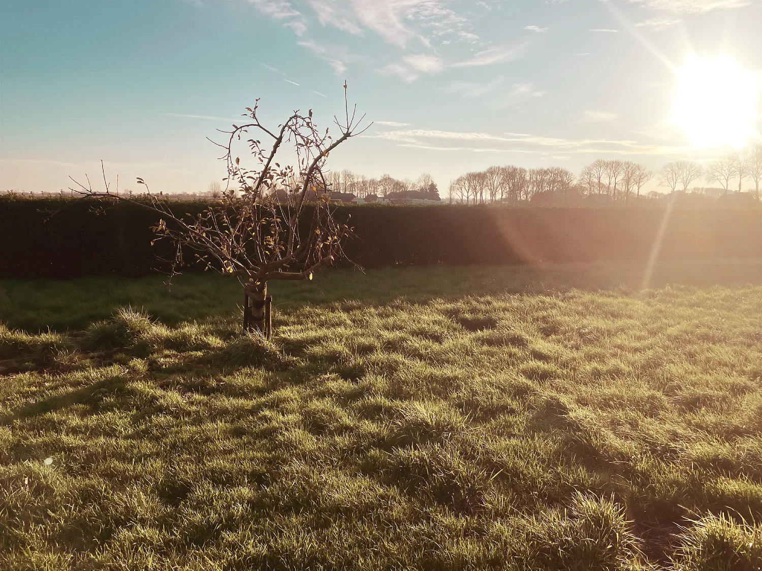 Foto van omgeving bedrijf Trify