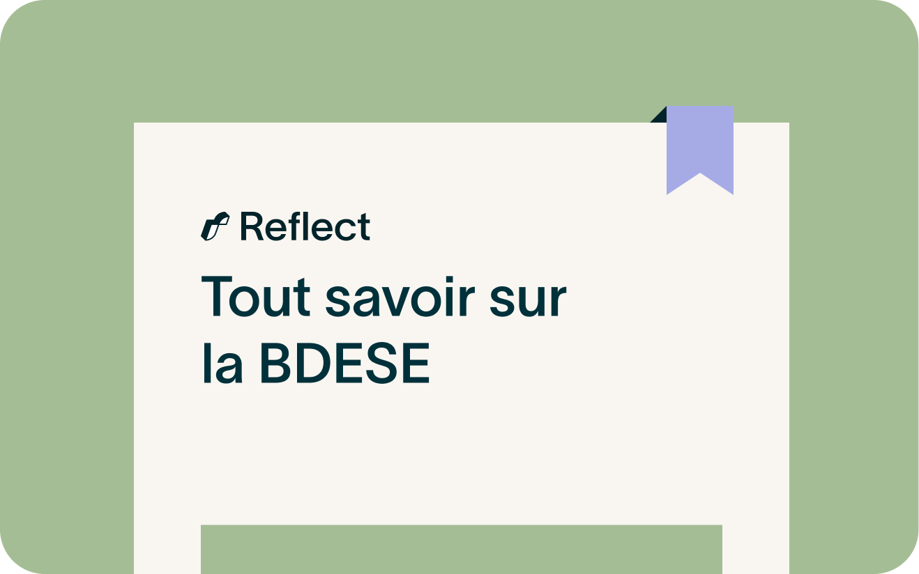 Guide pratique BDESE