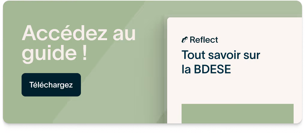 téléchargement guide BDESE