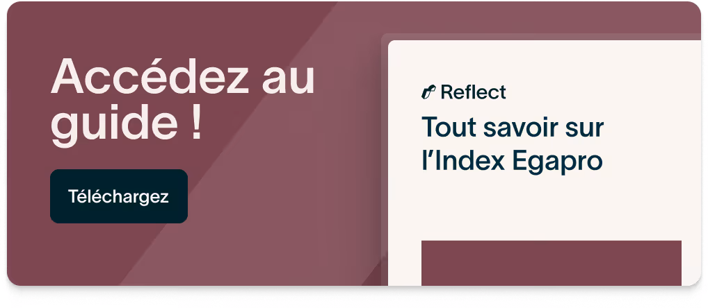 téléchargement guide Index Egapro