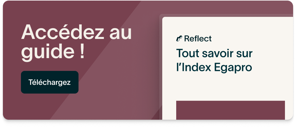 téléchargement guide Index Egapro