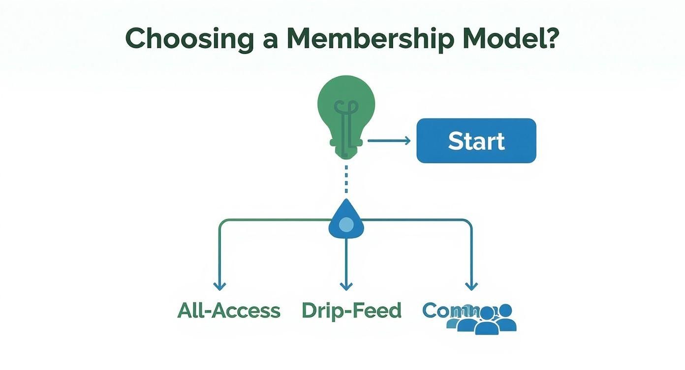 Infographic about build membership website