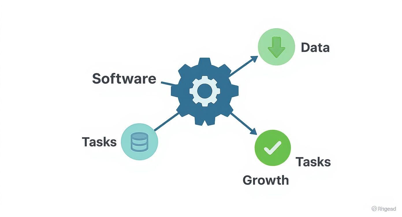 Central gear connecting software with data, tasks database, and growth tasks icons diagram