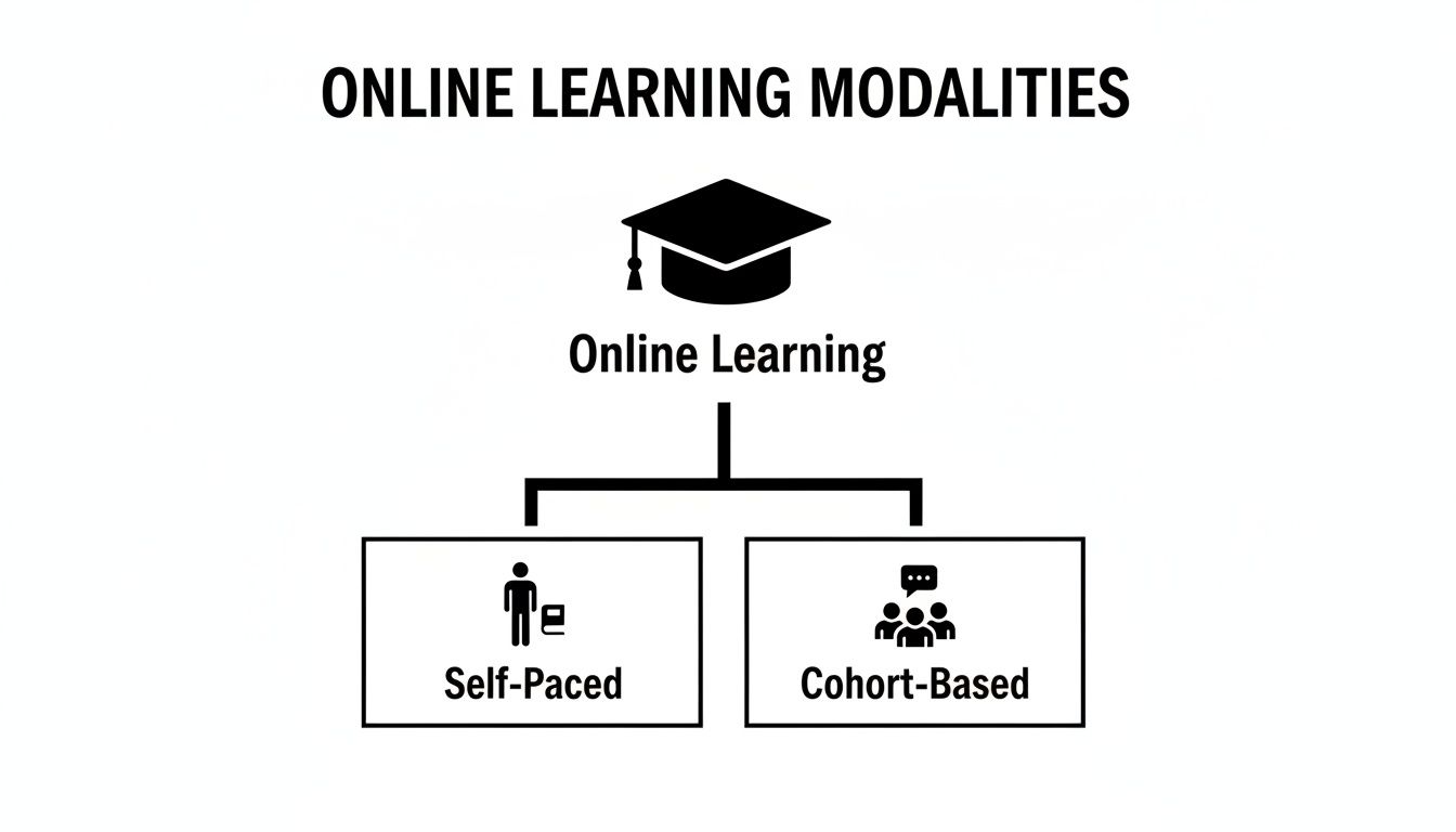 A diagram illustrating online learning modalities, distinguishing between self-paced and cohort-based options.