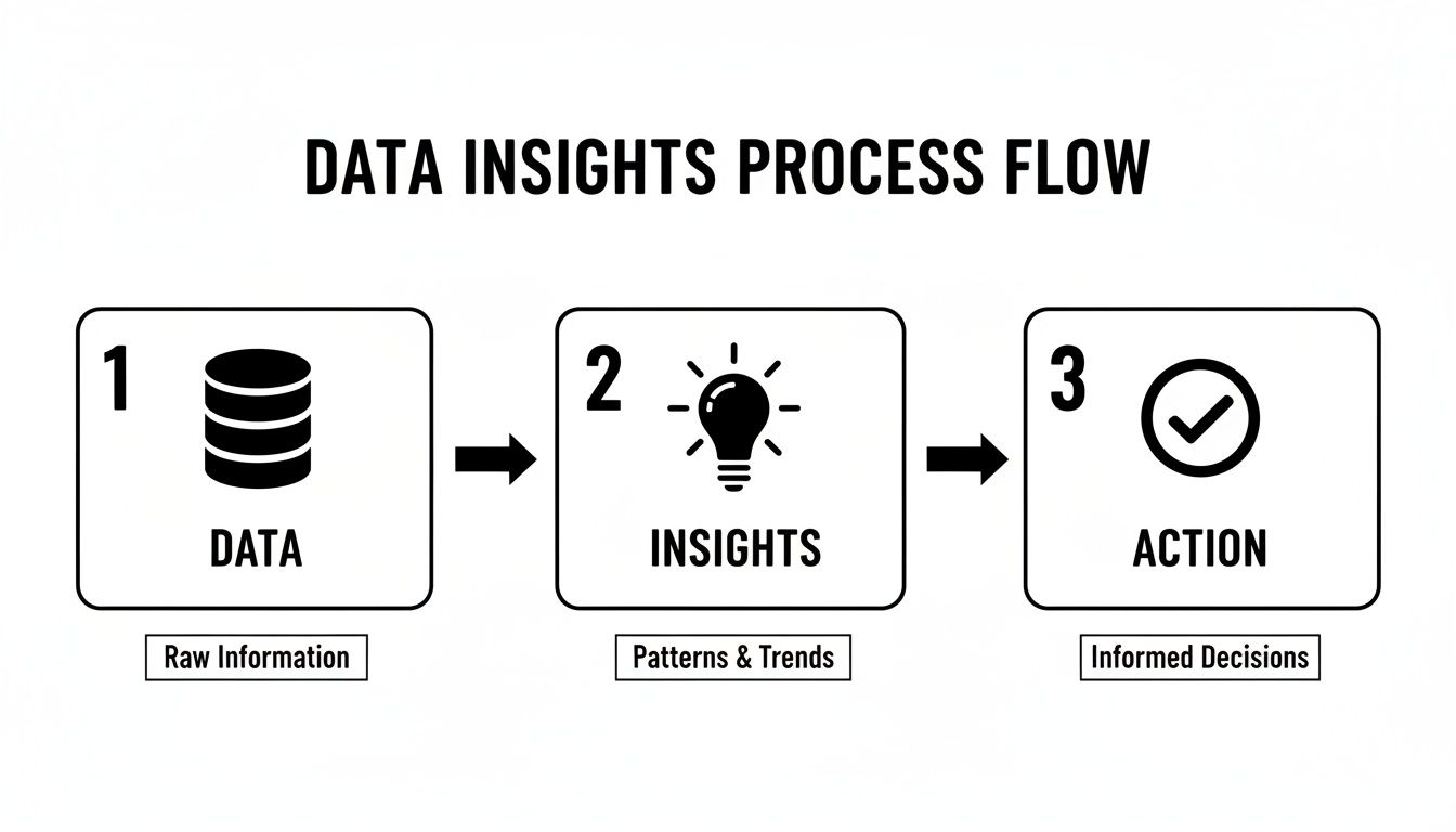 A data insights process flow diagram showing steps: Data (Raw Information), Insights (Patterns & Trends), and Action (Informed Decisions).