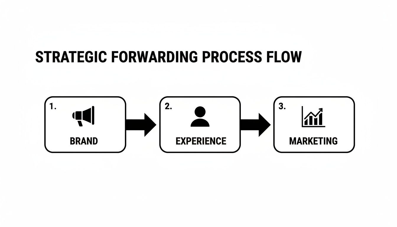 A three-step strategic forwarding process flow diagram showing brand, experience, and marketing.