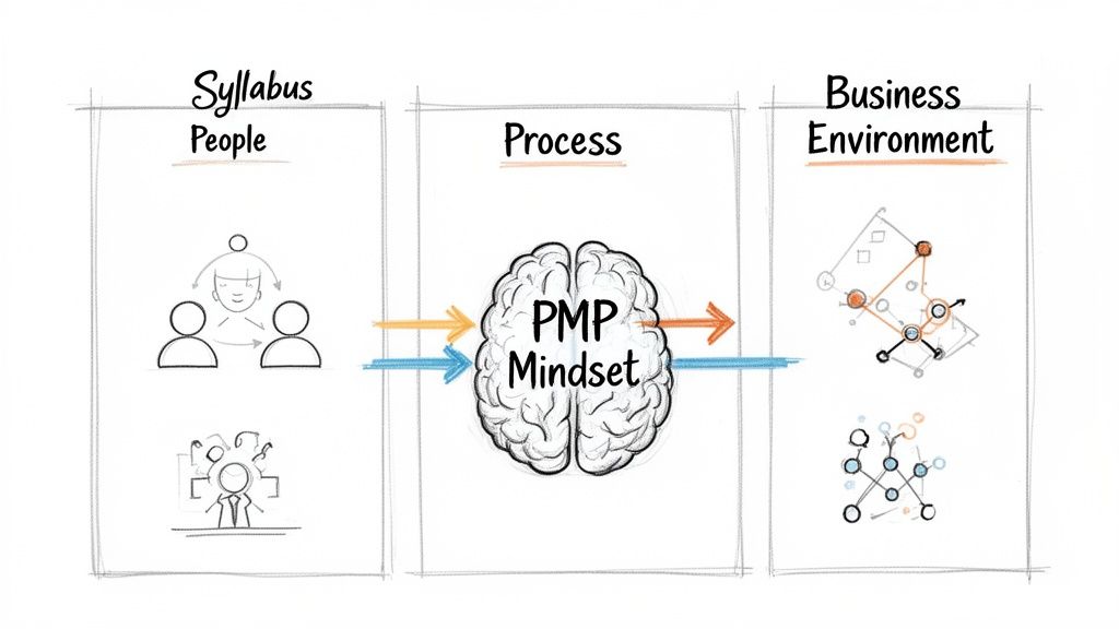A diagram illustrating the PMP Mindset as a core process, linking people and the business environment.