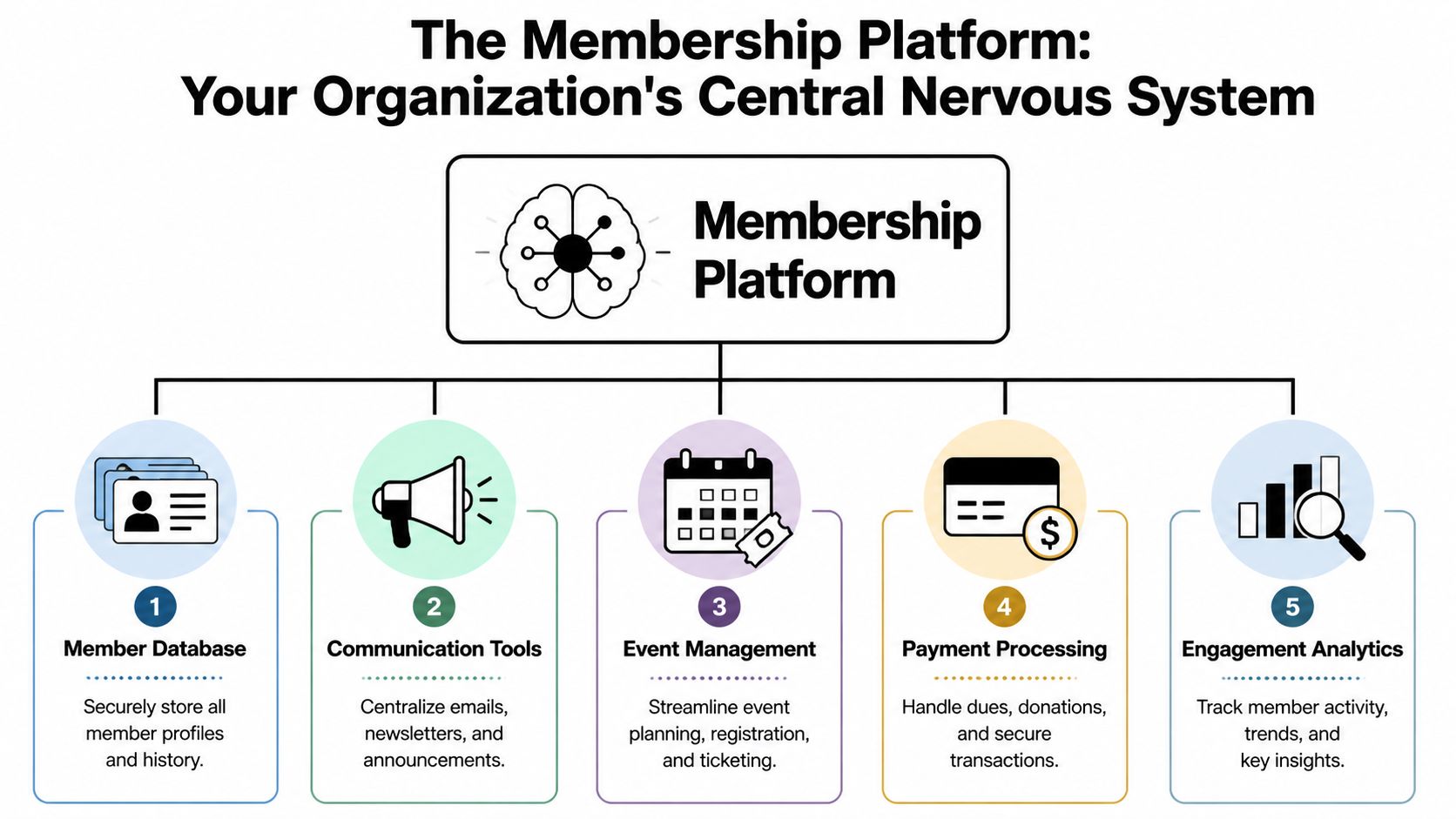 A diagram illustrating a membership platform as a central nervous system for managing organizational member data and operations.