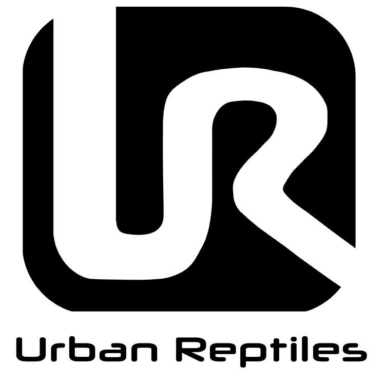 Urban Reptiles logo, takes to landing/main page.