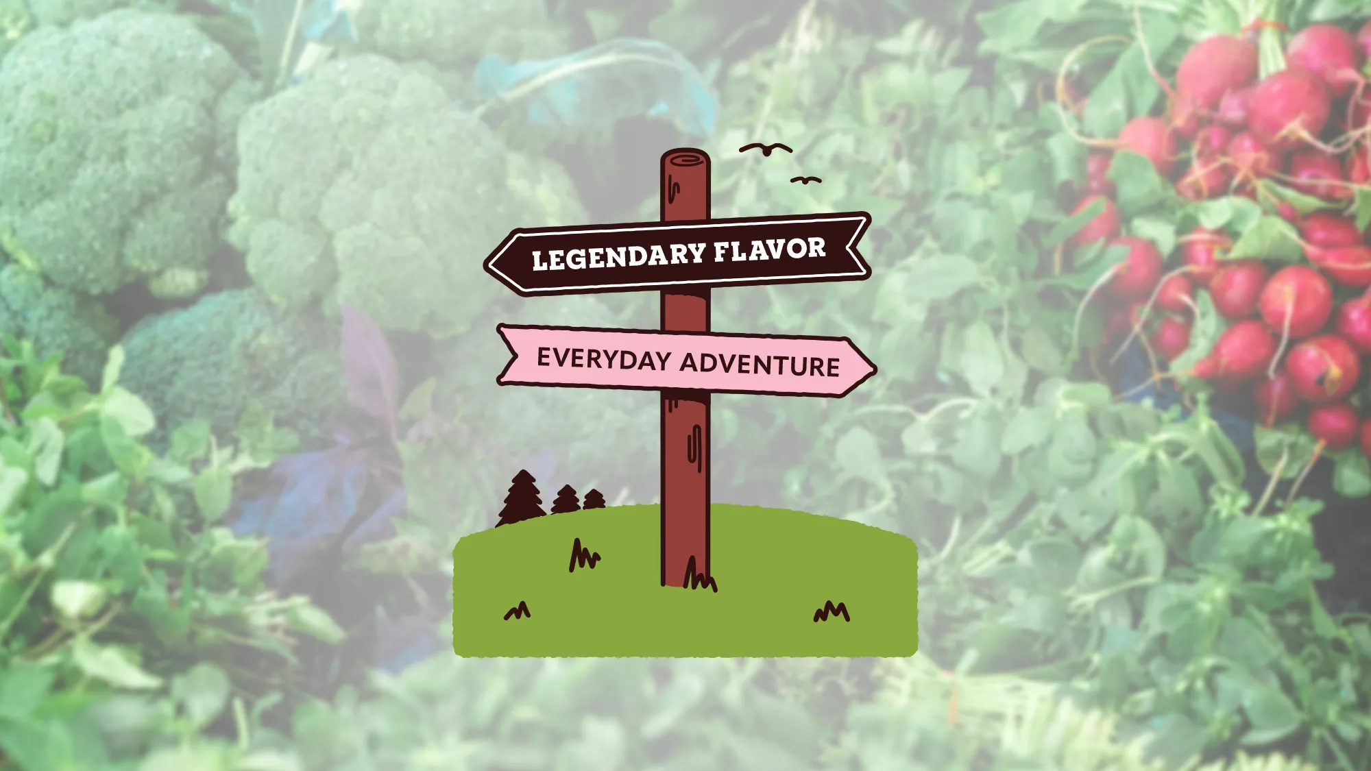 New CPG brand illustration | Baylii Branding | Mount Vernon, WA