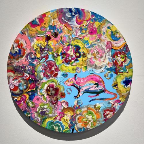 Ne 231217 (Sky Blue x Pink)