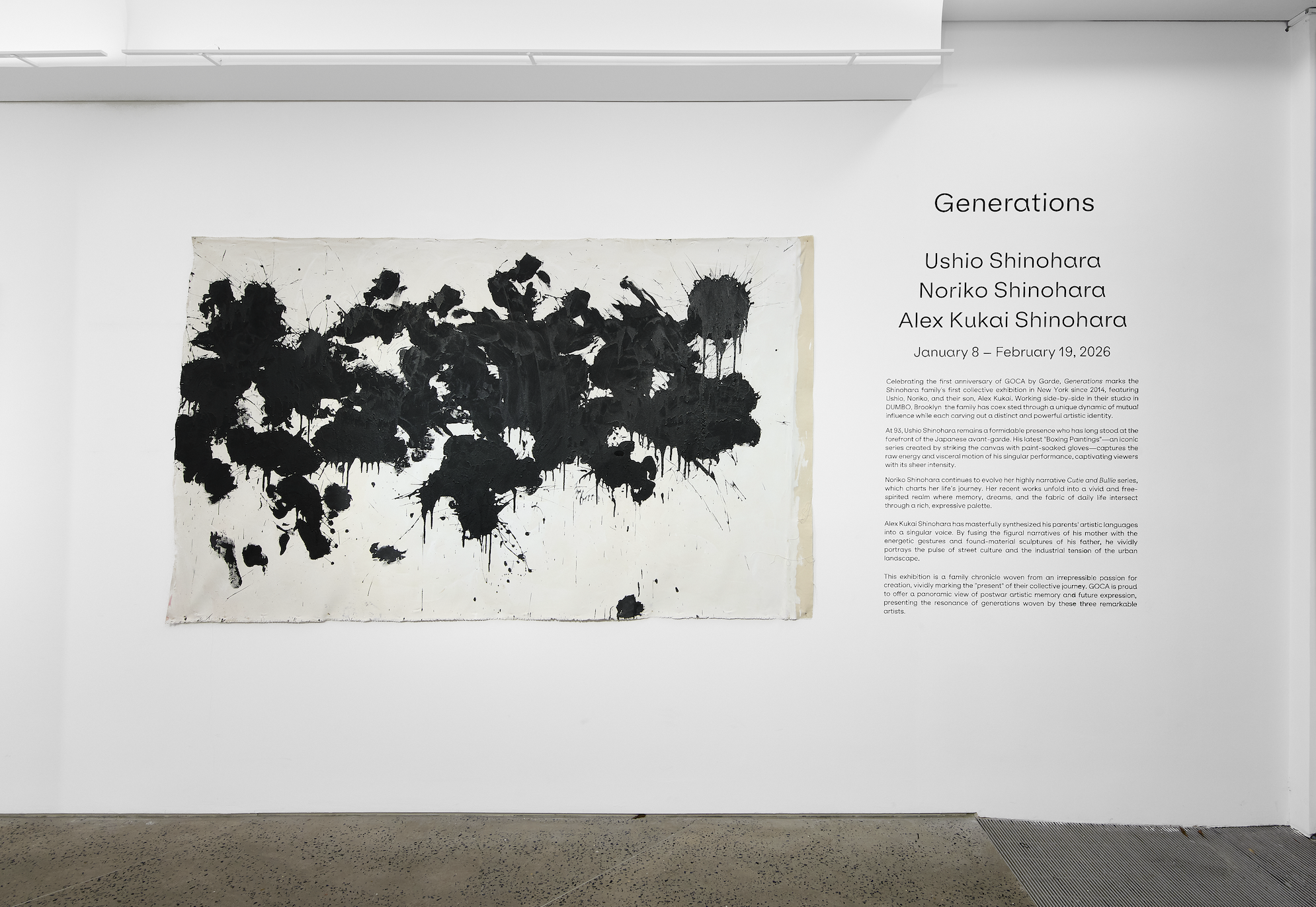 Generations Installation View