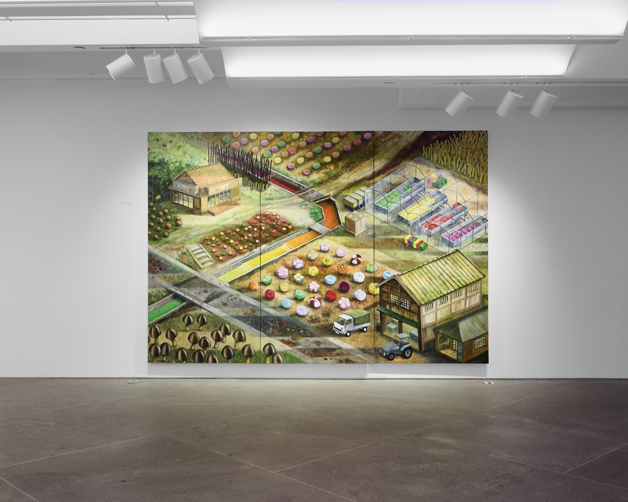 Oscar Oiwa Installation View
