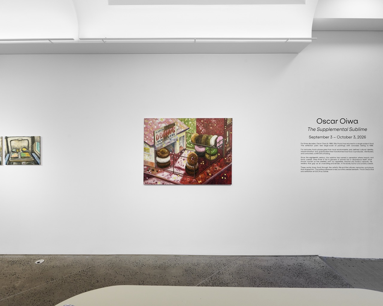 Oscar Oiwa Installation View