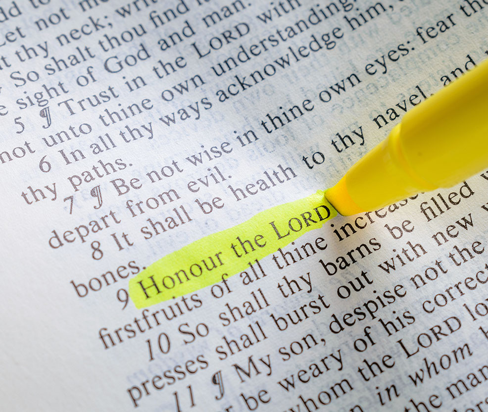 Adult Bible Studies (English & Spanish)