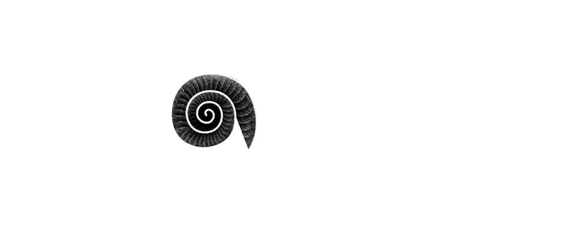 Detailed black-and-white stippled illustration of a snail with a spiraled shell, shown in a side profile against a dark background.