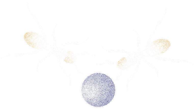 Illustration of two ants carrying a blue orb together, symbolizing teamwork and collaboration.