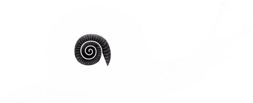 Black-and-white stylized illustration of a snail with a spiral shell and extended antennae, drawn with a textured, stippled effect.