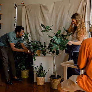 A team prepares a botanical-themed photoshoot with potted plants arranged against a neutral backdrop, focusing on natural aesthetics and styling.