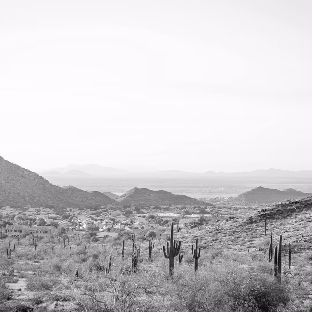 A black-and-white image of Phoenix’s desert surroundings, showing rolling hills, scattered saguaro cacti, and residential areas in the distance.