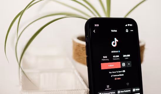 TikTok profile page open on a smartphone, placed beside a plant on a soft fabric surface, emphasizing branding, followers, and social presence.