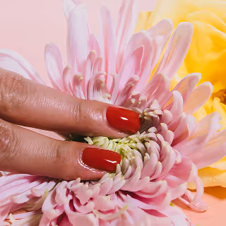 Close-up of a hand with glossy red nails gently touching the center of a blooming pink chrysanthemum with a yellow rose in the background.