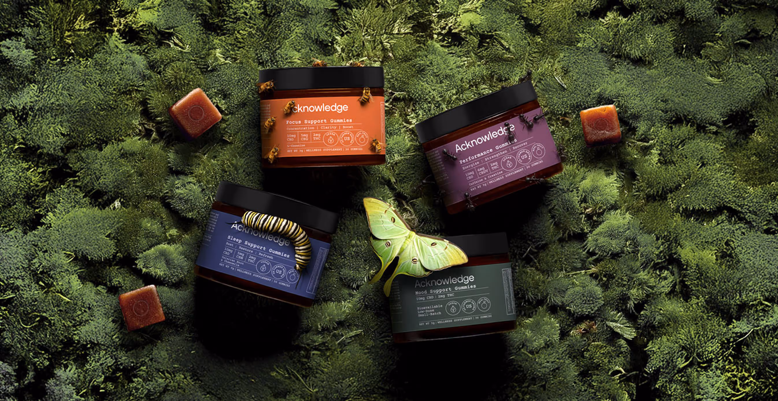 Acknowledge wellness gummy jars displayed on a lush green moss background. Each jar represents different functions — Focus Support, Performance, Sleep Support, and Mood Support. Bees, a caterpillar, and a green moth rest on and around the jars, emphasizing